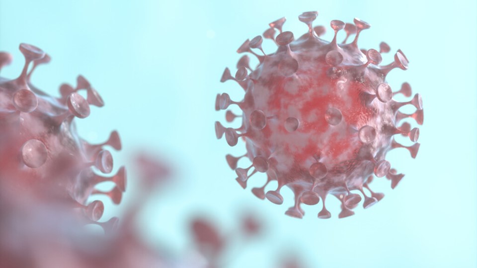 Animerad närbild på coronavirus.
