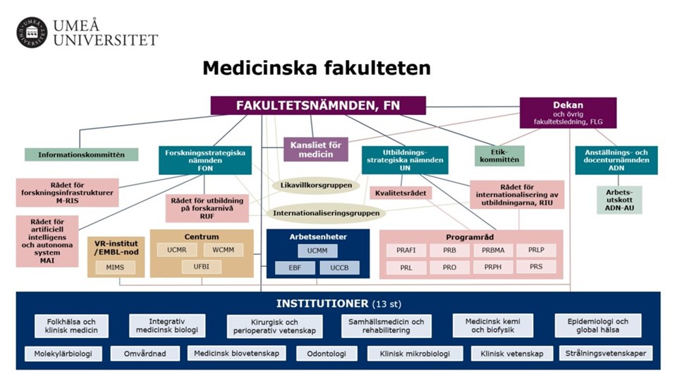 Organisationskarta Medicinska fakulteten