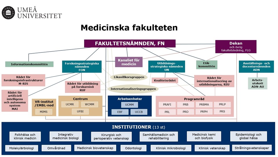 Organisationskarta Medicinska fakulteten