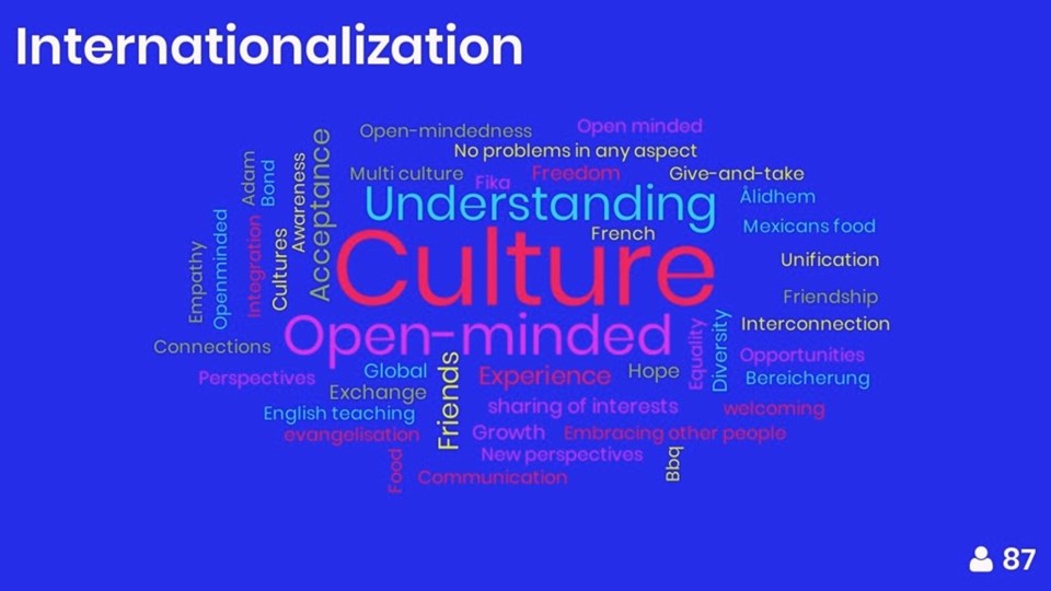 Internationella studenters beskrivning av Internationalisering våren 2018.