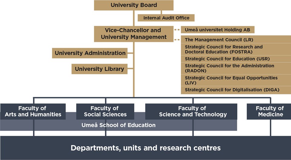 Organisational chart for Umeå University describing the organisation.