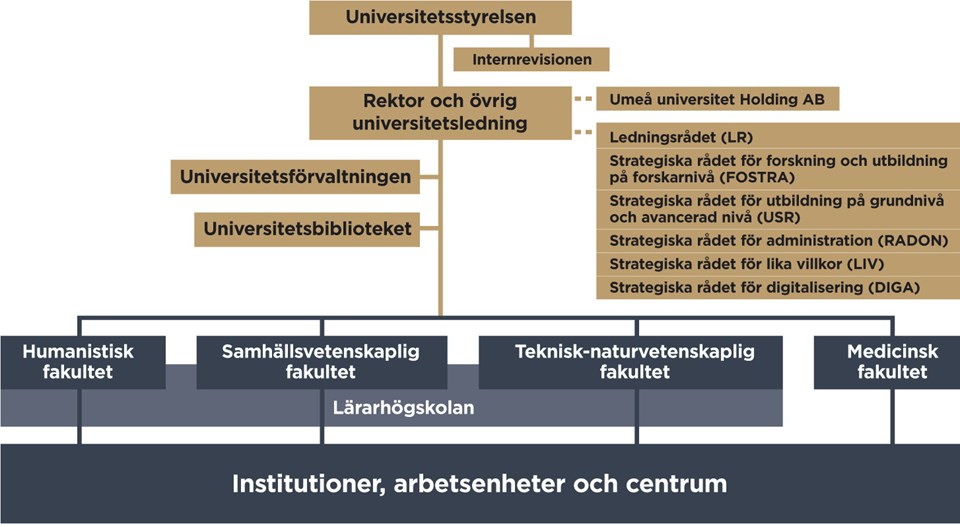 Organisationskarta Umeå universitet feb 2022
